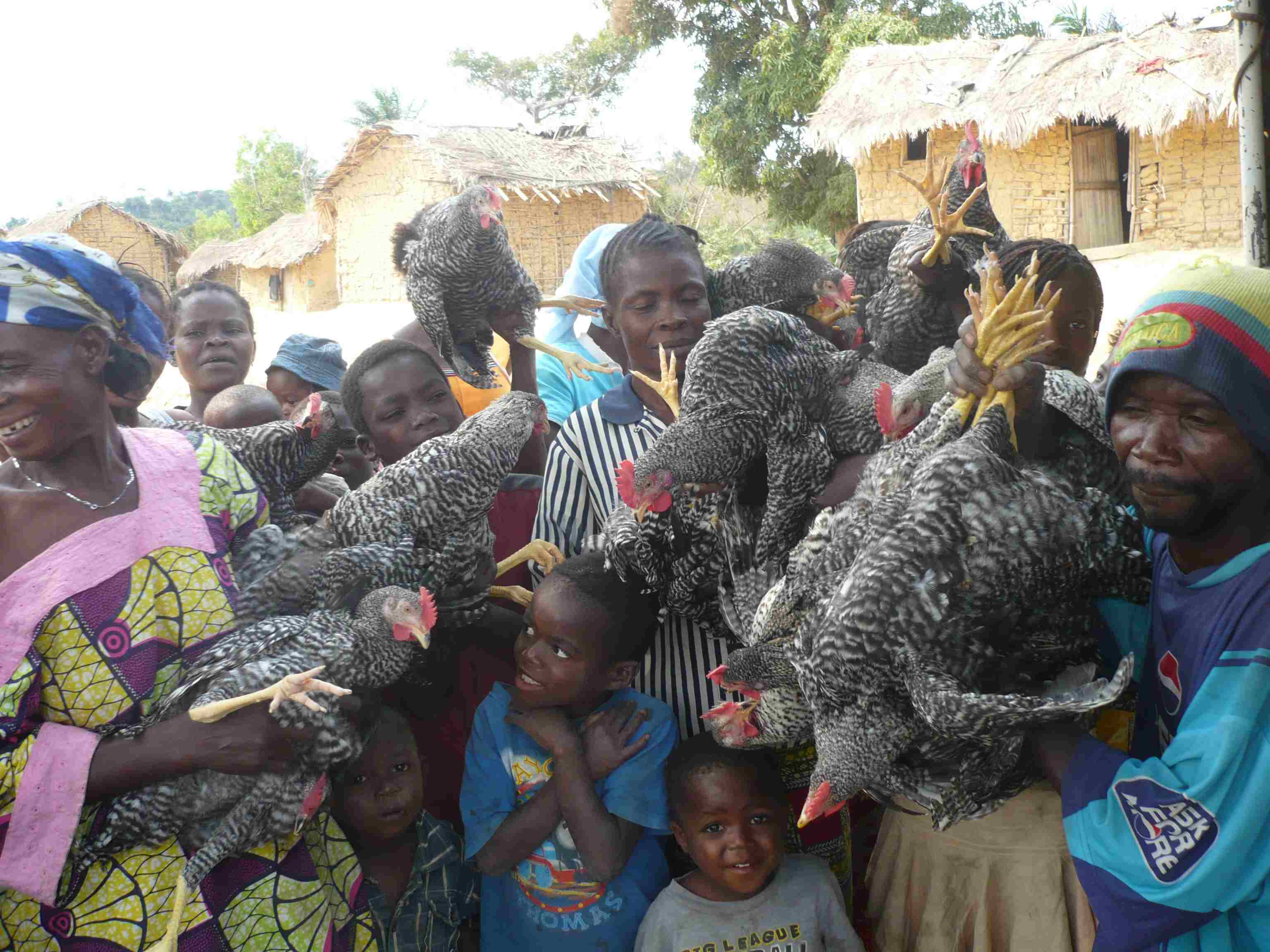 Photo principale du projet